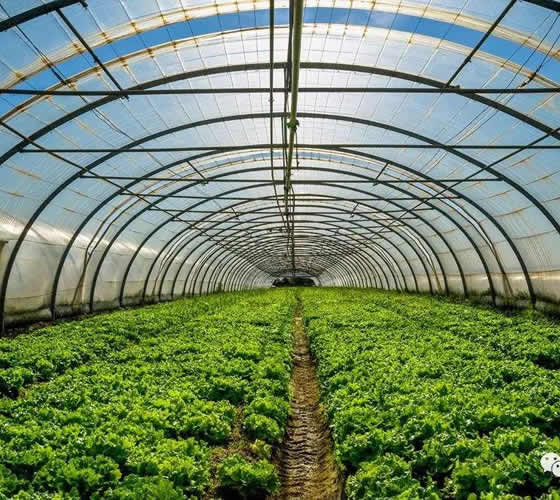 紫外線吸收劑326 紫外線吸收劑326